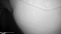 Encoxada white pants