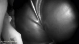 Encoxada black pants