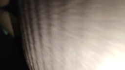 Encoxada brown pants bus