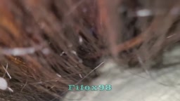 Encoxada Cum (Her friend tells her)