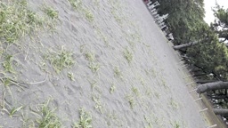 パンティーライン　パン線