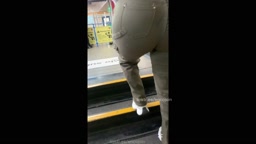 Encoxada Dickflash