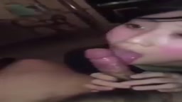 美女からのフェラ