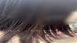 野外