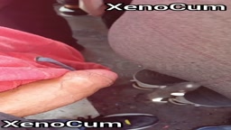 Encoxada (Xenocum)