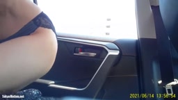 車内　美女　フェラ