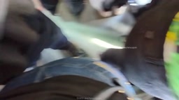 Encoxada Dickflash