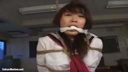 （保管用）【無】長谷川ちひろ