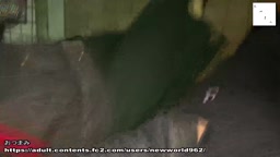 ⑤