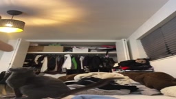 lc