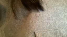 可愛すぎる