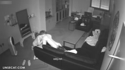 Ko b 007