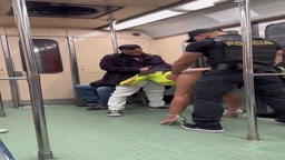 電車 公開