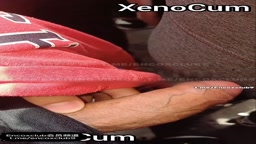 Zeno encox #1