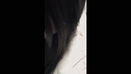 電車