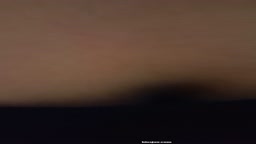 Ko d 002