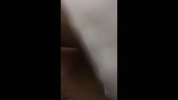 Ko d 008