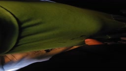 encoxada