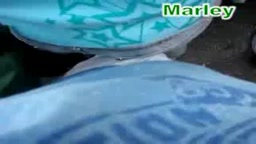 Squeezing a young twerking girl at a public street show, culminating in a cumshot!