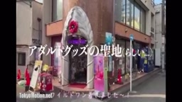 白石 1