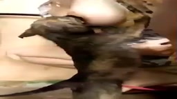 子犬に授乳4