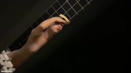民家