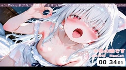 🐾(=^･ω･^=)🐾(自)