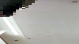 收藏用