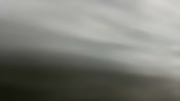 lami_mi_20260224_P1
