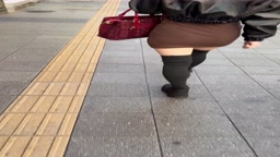 ぷりん