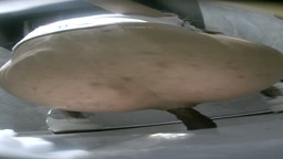 アナル スカトロ