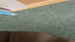 素人