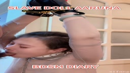 FFANSM 16
