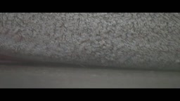 024