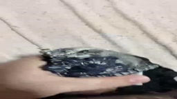 パンコキ ぶっかけ