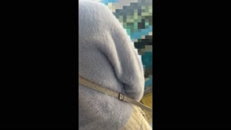 射150