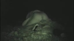 Vintage Japanese Voyeur Sex