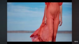 Music Video