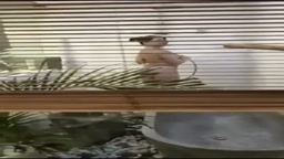 OF_おふざけ はぷにんぐ集 .14.mp