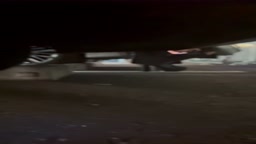 野ション