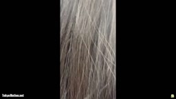 梟116