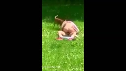 Gardenia Exhibición voyeur sex