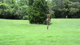 Ebony Nude Cutie in the Public Park