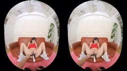 EXVR-245　1