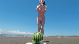 お気に入り579