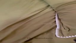 43