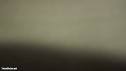処女膜