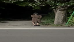 白桃汽水9