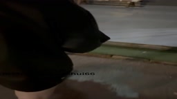 白桃汽水10