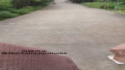 白桃汽水11